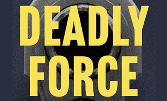 Deadly Force book cover