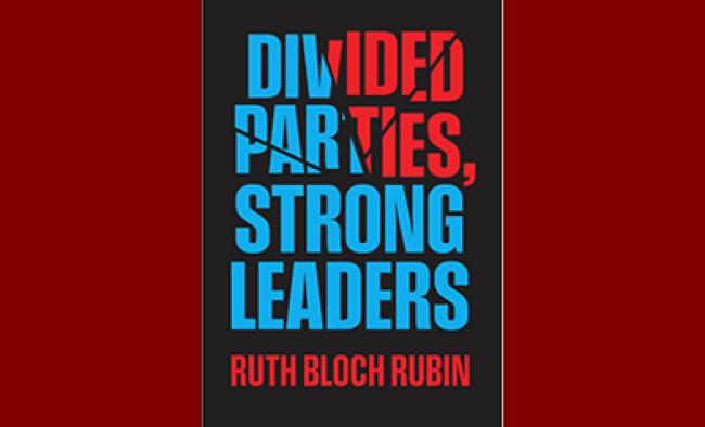 Divided Parties, Strong Leaders book cover